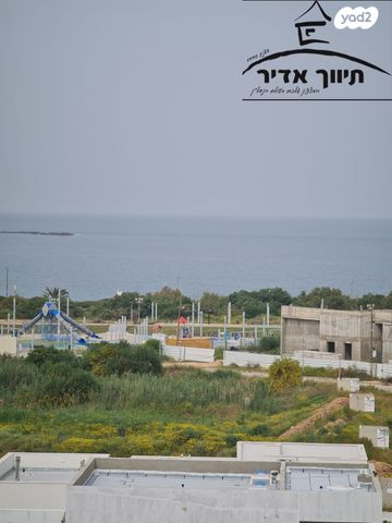 y2_14_oR6TPP4NX7_20240329